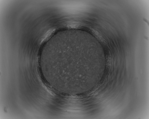 X0000097790738200803141829