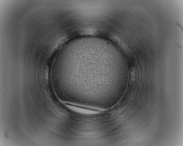 X0000097790739200803141829