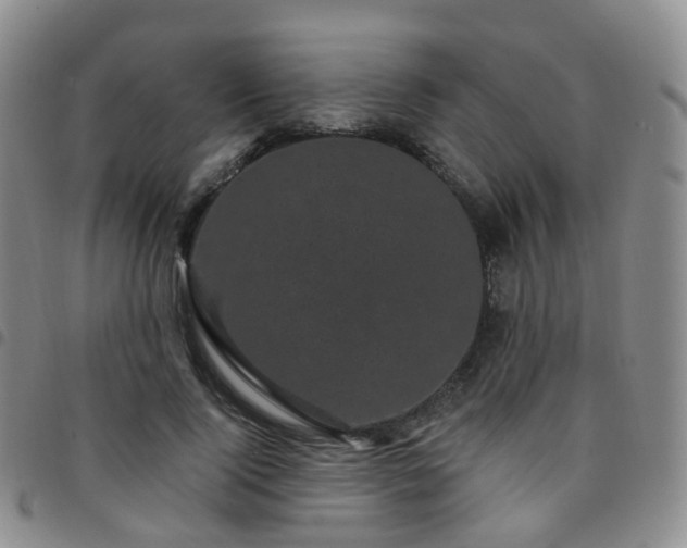 X0000097790740200803141829