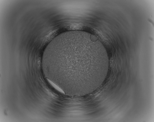 X0000097790741200803141829