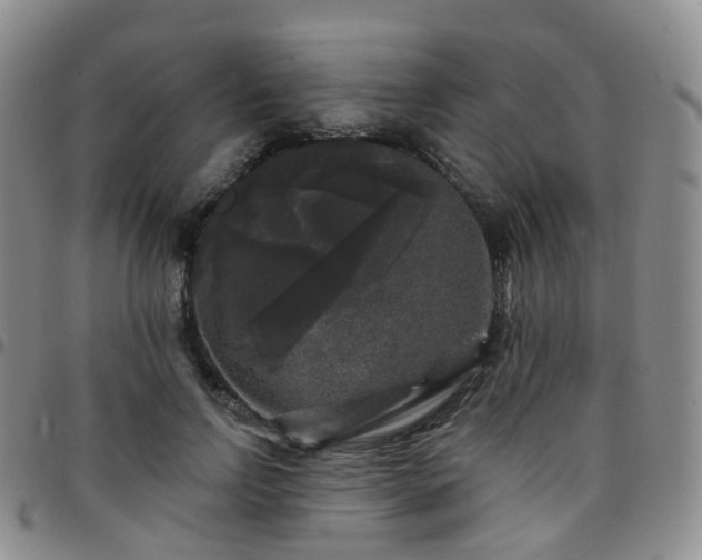 X0000097790742200803141829