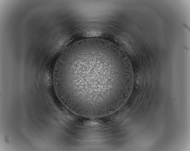 X0000097790743200803141829