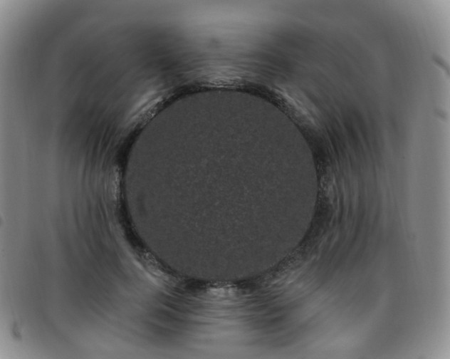 X0000097790744200803141829
