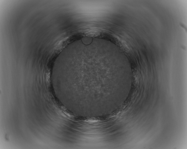 X0000097790745200803141829