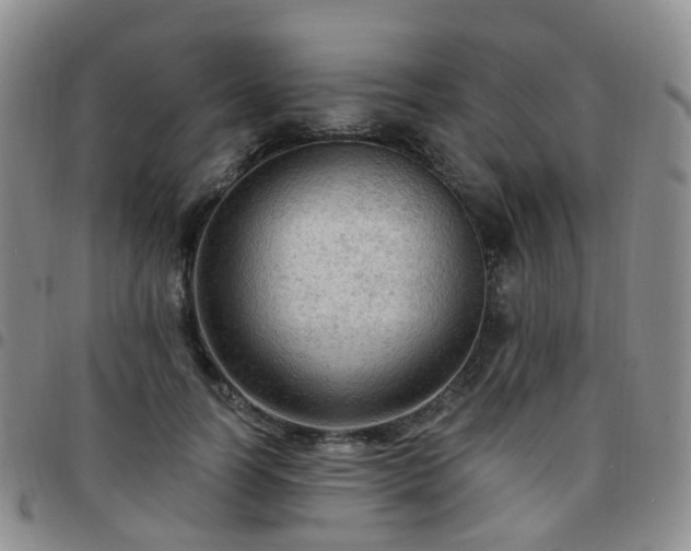 X0000097790746200803141829