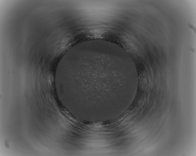X0000097790747200803141829