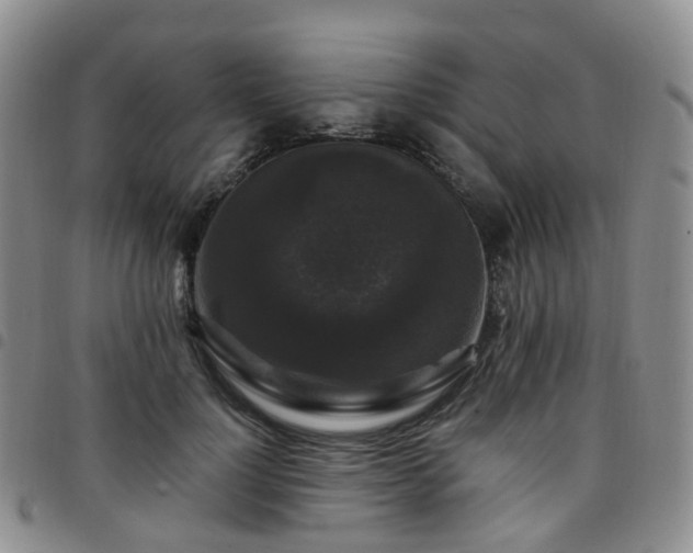 X0000097790748200803141829