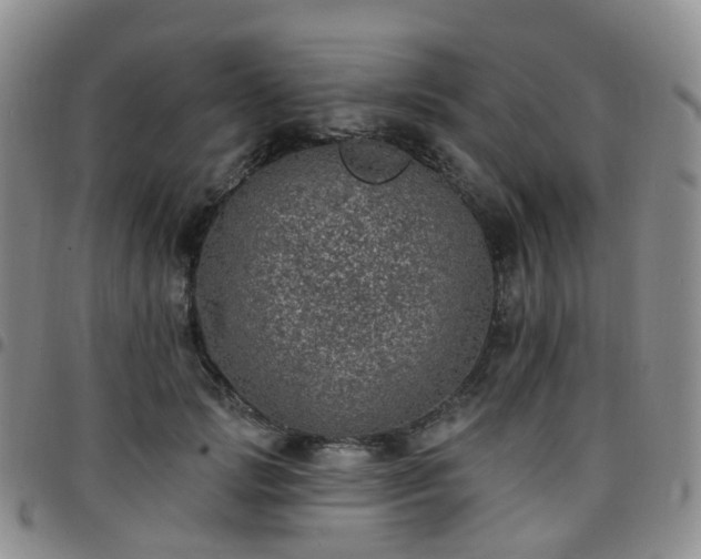 X0000097790749200803141829