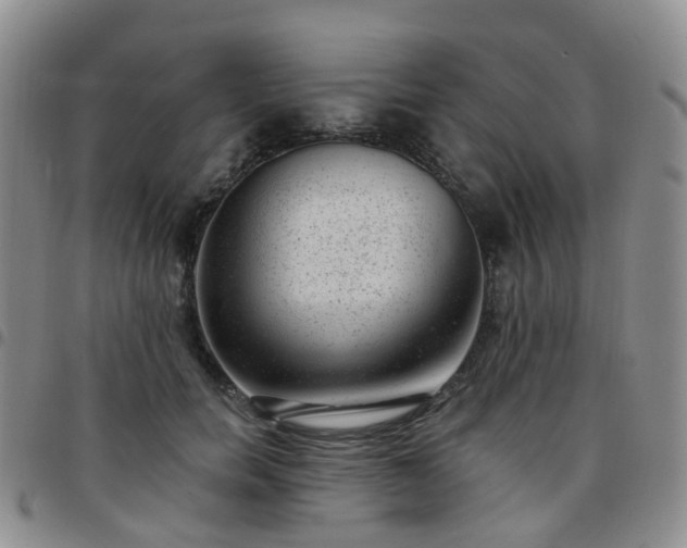 X0000097790750200803141829