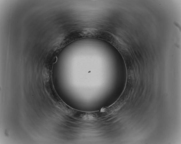 X0000097790751200803141829