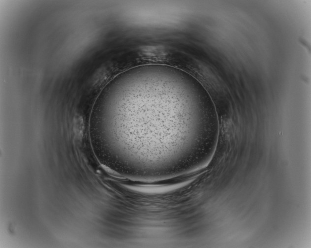 X0000097790752200803141829