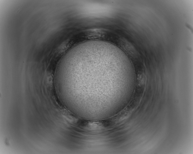 X0000097790753200803141829