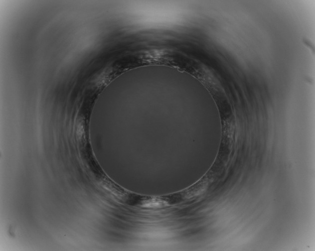 X0000097790754200803141829