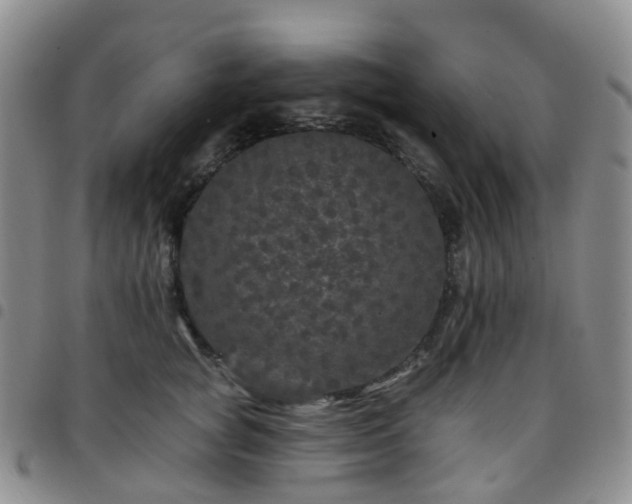 X0000097790757200803141829