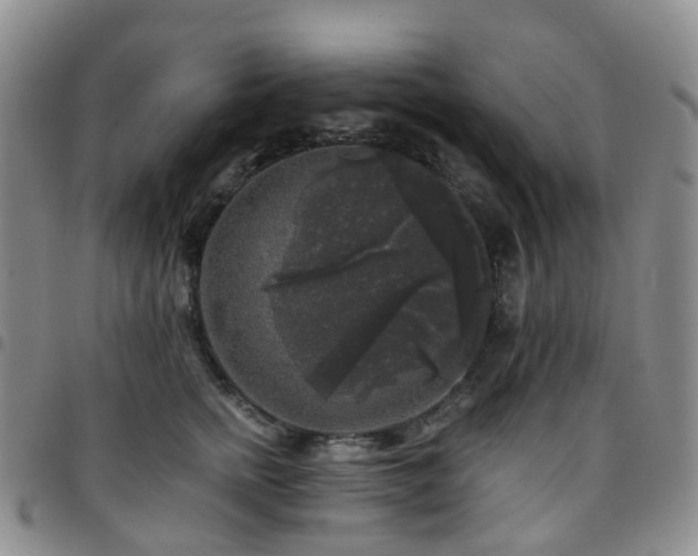 X0000097790758200803141829