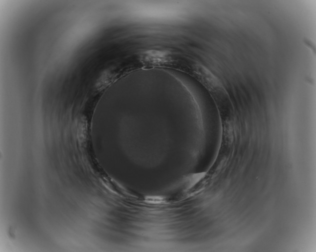 X0000097790760200803141829