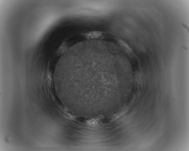 X0000097790761200803141829