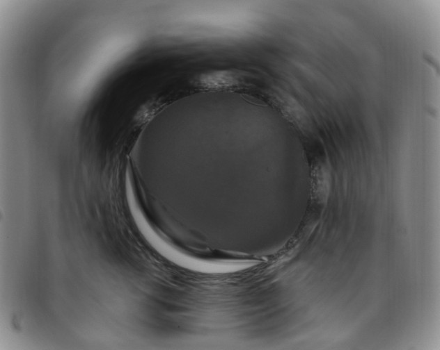 X0000097790762200803141829