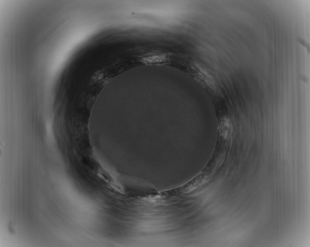 X0000097790763200803141829