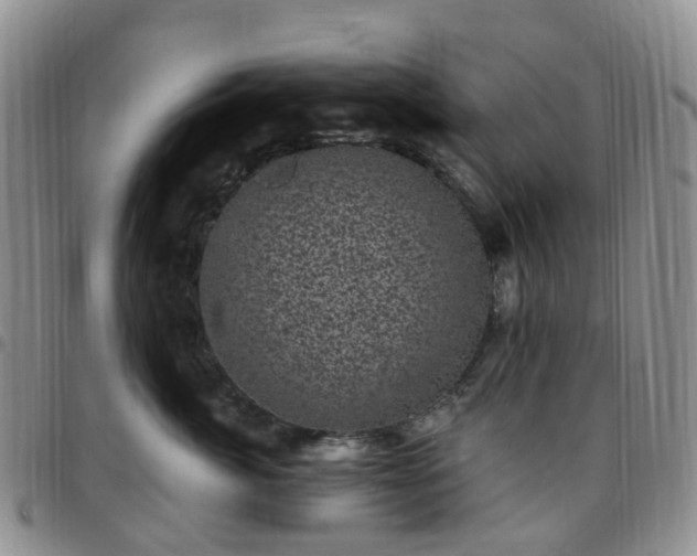 X0000097790764200803141829