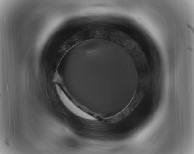 X0000097790766200803141829