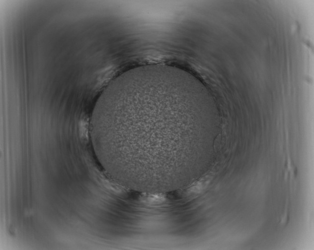 X0000097790768200803141829