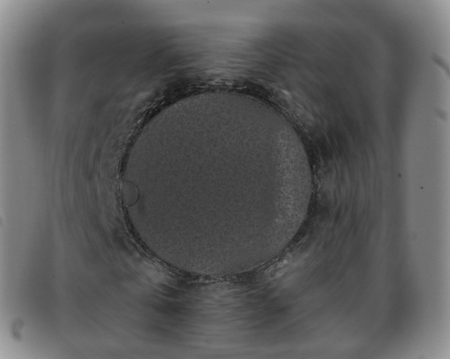 X0000097790769200803141828