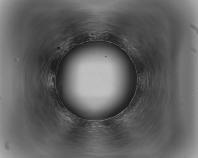 X0000097790770200803141828
