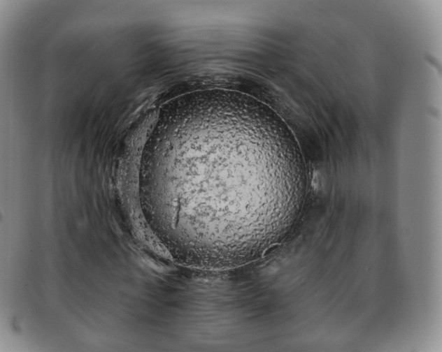 X0000097790771200803141828