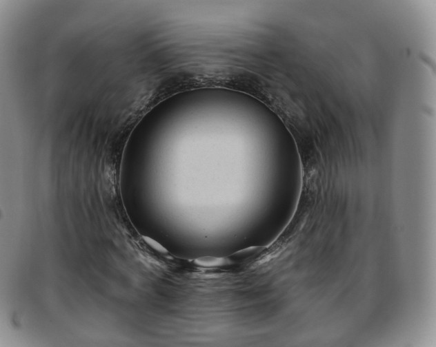 X0000097790772200803141828