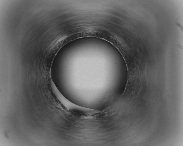 X0000097790773200803141828