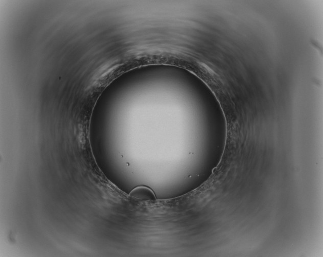 X0000097790774200803141828