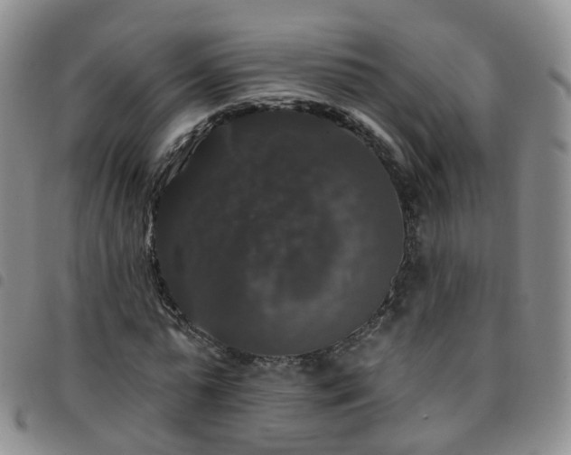 X0000097790775200803141828