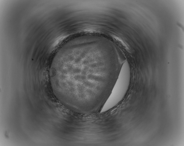 X0000097790776200803141828