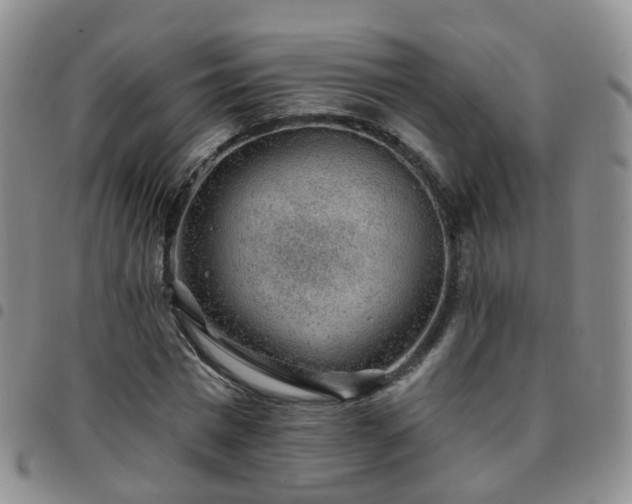X0000097790777200803141828