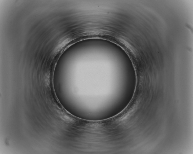 X0000097790778200803141828