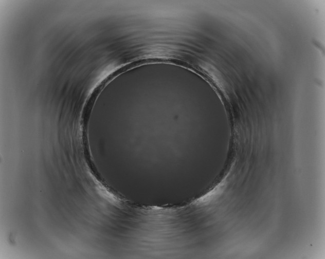 X0000097790779200803141828