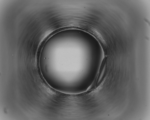 X0000097790780200803141828