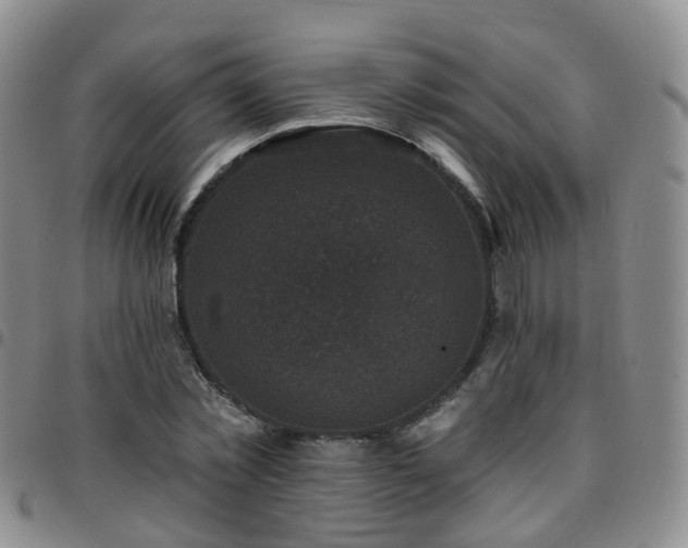 X0000097790781200803141828
