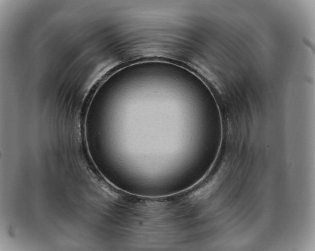 X0000097790782200803141828
