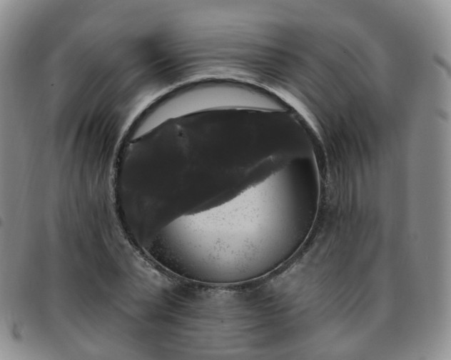 X0000097790783200803141828