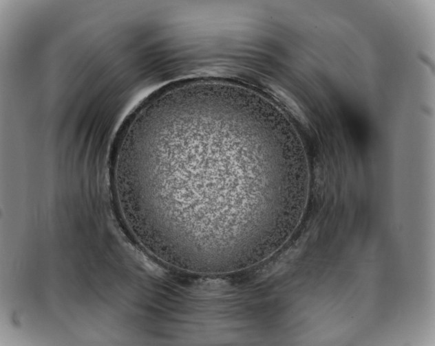 X0000097790784200803141828