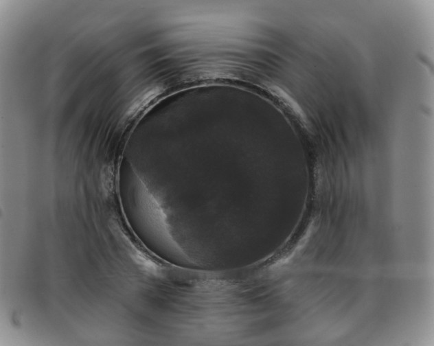 X0000097790785200803141828