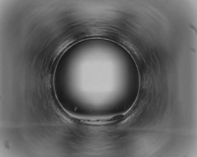 X0000097790786200803141828