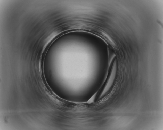 X0000097790788200803141828