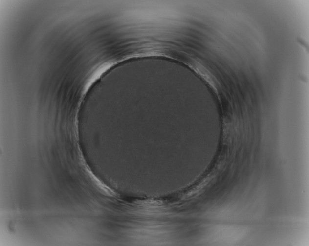 X0000097790789200803141828