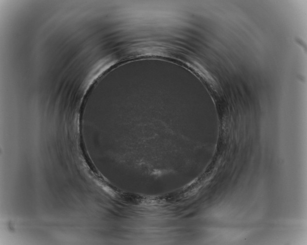 X0000097790790200803141828