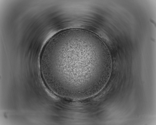 X0000097790792200803141828
