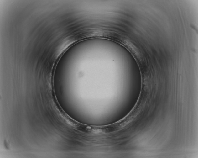 X0000097790794200803141828