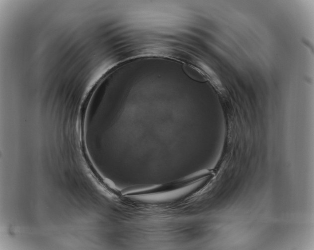 X0000097790796200803141828